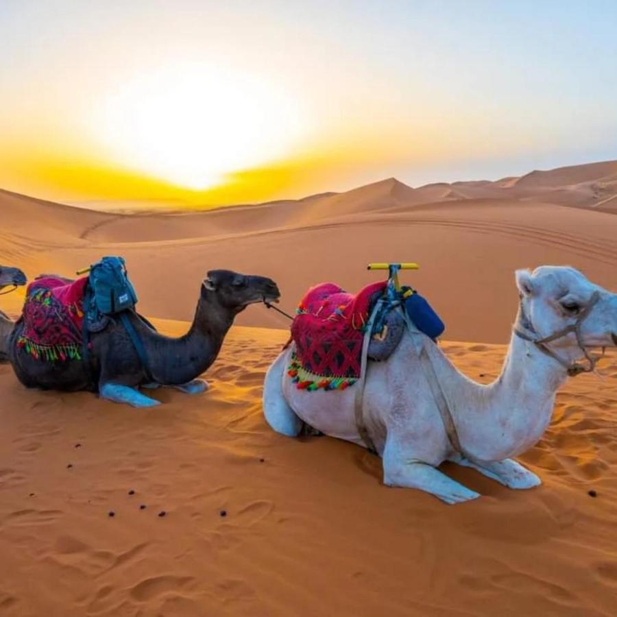 Merzouga Heart Camp Exteriör bild